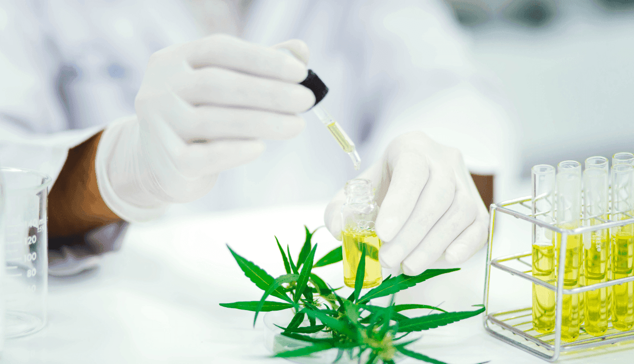 Cannabis Test im Labor